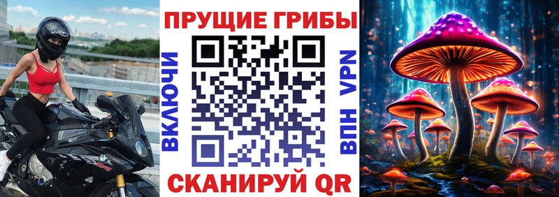 Псилоцибиновые грибы GOLDEN TEACHER  Микунь 